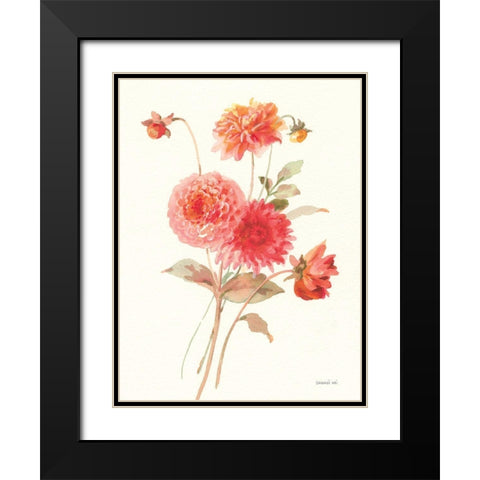 Summer Dahlias I Black Modern Wood Framed Art Print with Double Matting by Nai, Danhui