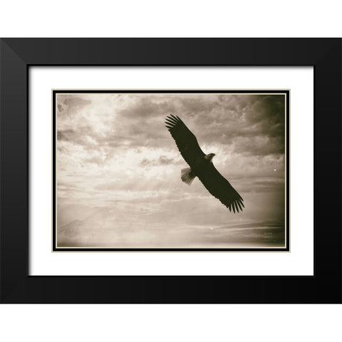 Sunray Eagle Black Modern Wood Framed Art Print with Double Matting by Larson, Nathan