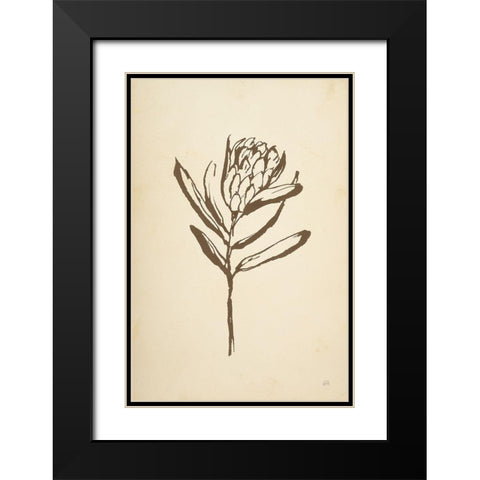 Vintage Line Protea I Black Modern Wood Framed Art Print with Double Matting by Paschke, Chris