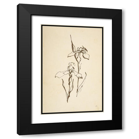 Vintage Line Iris II Black Modern Wood Framed Art Print with Double Matting by Paschke, Chris