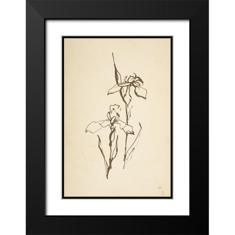Vintage Line Iris II Black Modern Wood Framed Art Print with Double Matting by Paschke, Chris