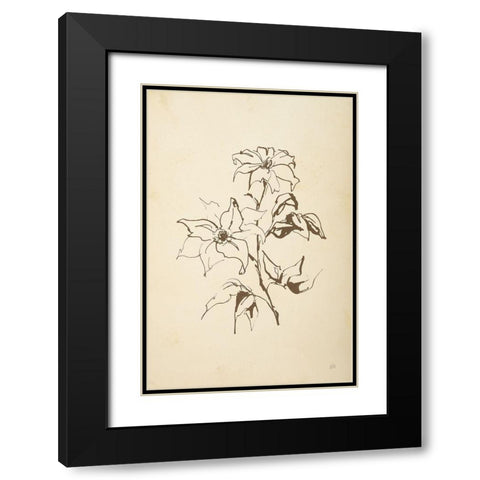 Vintage Line Clematis Black Modern Wood Framed Art Print with Double Matting by Paschke, Chris