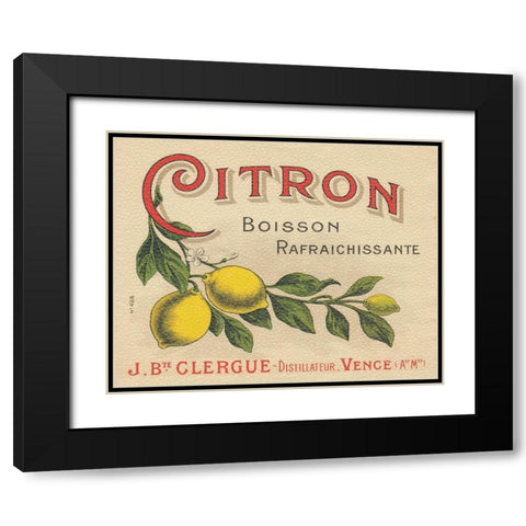 Lemon Label Black Modern Wood Framed Art Print with Double Matting by Wild Apple Portfolio