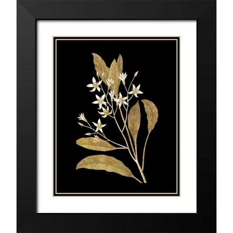 Gold Botanical V on Black Black Modern Wood Framed Art Print with Double Matting by Wild Apple Portfolio