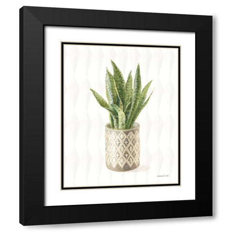 Desert Greenhouse XVI Black Modern Wood Framed Art Print with Double Matting by Nai, Danhui