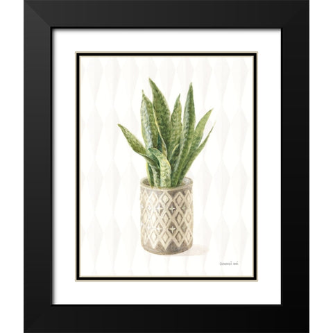 Desert Greenhouse XVI Black Modern Wood Framed Art Print with Double Matting by Nai, Danhui