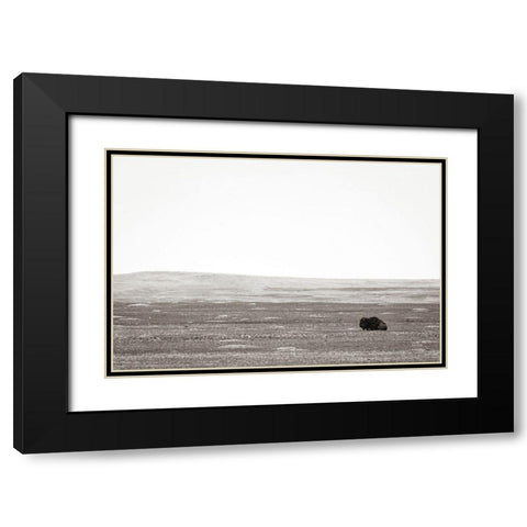 Badlands Guard Black Modern Wood Framed Art Print with Double Matting by Larson, Nathan