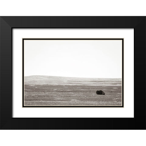 Badlands Guard Black Modern Wood Framed Art Print with Double Matting by Larson, Nathan