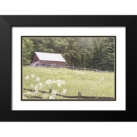 Summer Farm I Black Modern Wood Framed Art Print with Double Matting by Schlabach, Sue