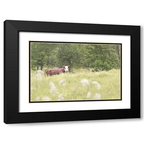 Summer Farm II Black Modern Wood Framed Art Print with Double Matting by Schlabach, Sue