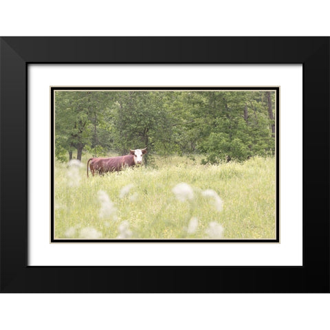 Summer Farm II Black Modern Wood Framed Art Print with Double Matting by Schlabach, Sue