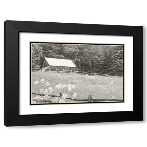 Summer Farm I BW Black Modern Wood Framed Art Print with Double Matting by Schlabach, Sue