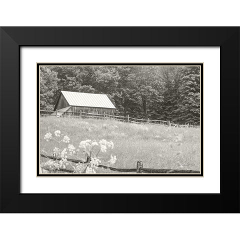 Summer Farm I BW Black Modern Wood Framed Art Print with Double Matting by Schlabach, Sue