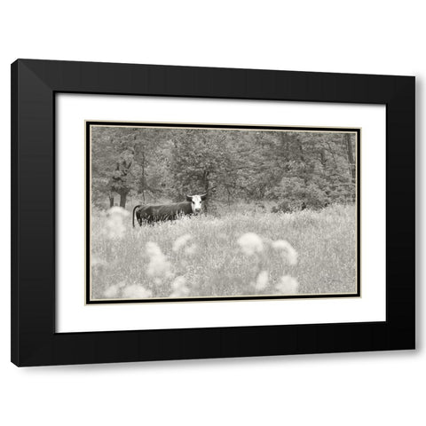 Summer Farm II BW Black Modern Wood Framed Art Print with Double Matting by Schlabach, Sue