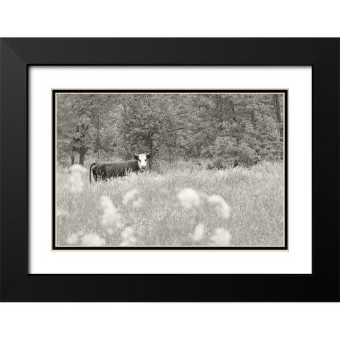 Summer Farm II BW Black Modern Wood Framed Art Print with Double Matting by Schlabach, Sue