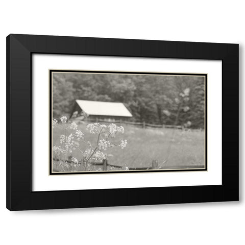 Summer Farm III BW Black Modern Wood Framed Art Print with Double Matting by Schlabach, Sue