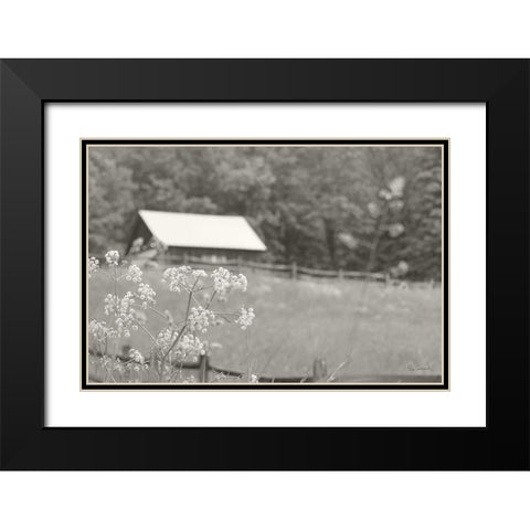 Summer Farm III BW Black Modern Wood Framed Art Print with Double Matting by Schlabach, Sue