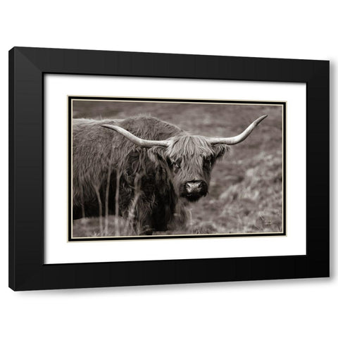 Highland Spring Black Modern Wood Framed Art Print with Double Matting by Larson, Nathan