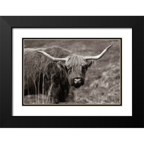 Highland Spring Black Modern Wood Framed Art Print with Double Matting by Larson, Nathan