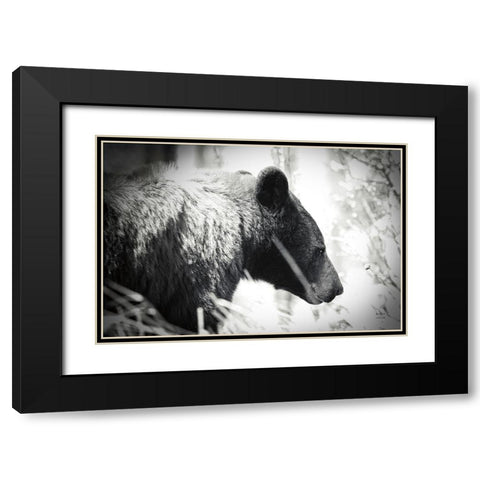 Bear Emerging Black Modern Wood Framed Art Print with Double Matting by Larson, Nathan