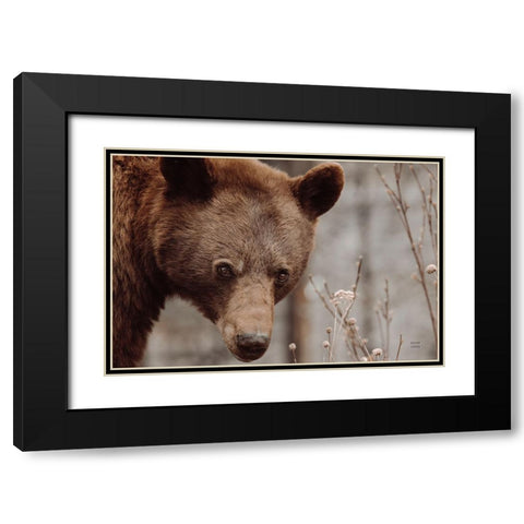 Bear Profile II Black Modern Wood Framed Art Print with Double Matting by Larson, Nathan