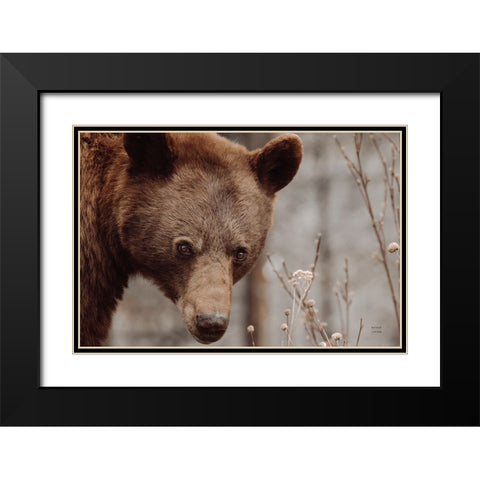 Bear Profile II Black Modern Wood Framed Art Print with Double Matting by Larson, Nathan