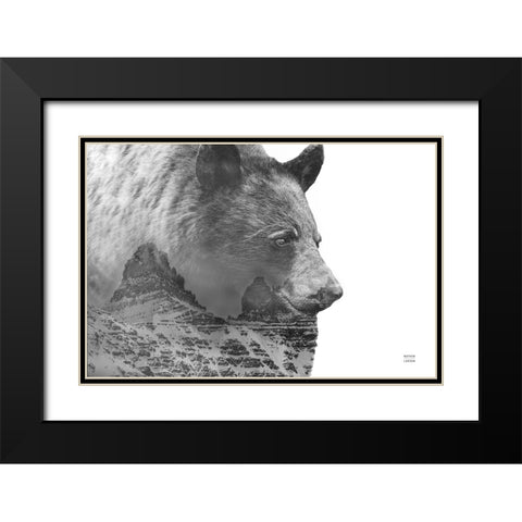 Mountain Bear Black Modern Wood Framed Art Print with Double Matting by Larson, Nathan