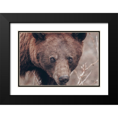 Bear Portrait Black Modern Wood Framed Art Print with Double Matting by Larson, Nathan