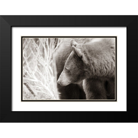 Bear Tones Black Modern Wood Framed Art Print with Double Matting by Larson, Nathan