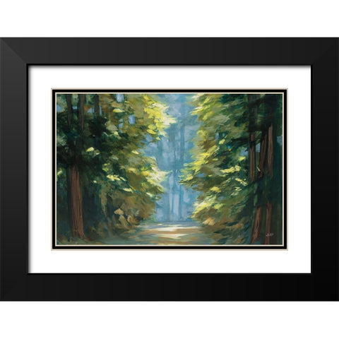Sunlit Forest Blue Crop Black Modern Wood Framed Art Print with Double Matting by Purinton, Julia
