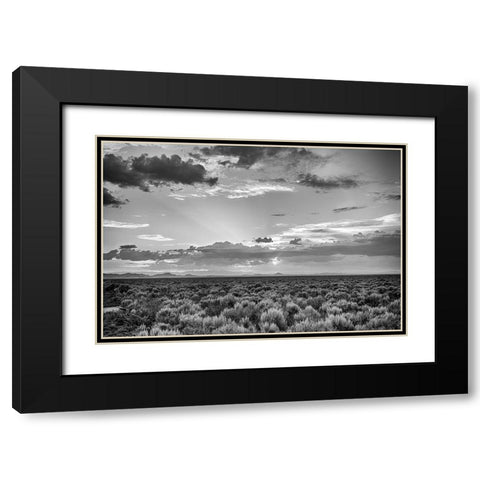 American Sage Black Modern Wood Framed Art Print with Double Matting by Larson, Nathan