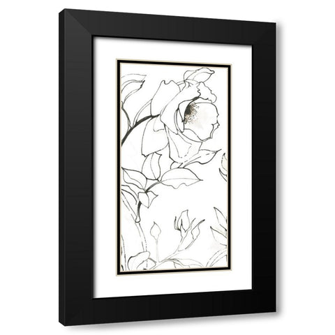 Sketch of Roses Panel II Black Modern Wood Framed Art Print with Double Matting by Novak, Shirley