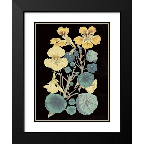 Antique Botanical XVII Cool on Black Black Modern Wood Framed Art Print with Double Matting by Wild Apple Portfolio