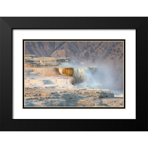 Terraces of Canary Spring Black Modern Wood Framed Art Print with Double Matting by Majchrowicz, Alan