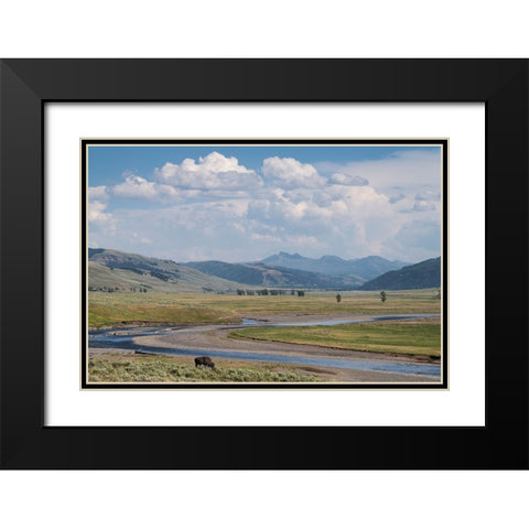 Lamar Valley Bison Black Modern Wood Framed Art Print with Double Matting by Majchrowicz, Alan