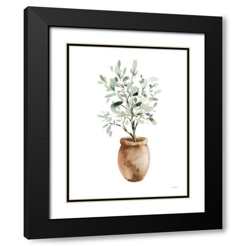 Potted Olive Tree Black Modern Wood Framed Art Print with Double Matting by Pete, Katrina