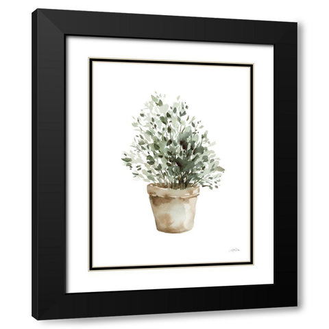 Potted Herbs Black Modern Wood Framed Art Print with Double Matting by Pete, Katrina