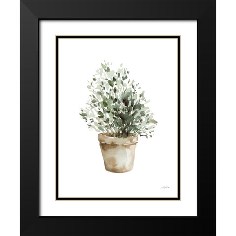 Potted Herbs Black Modern Wood Framed Art Print with Double Matting by Pete, Katrina