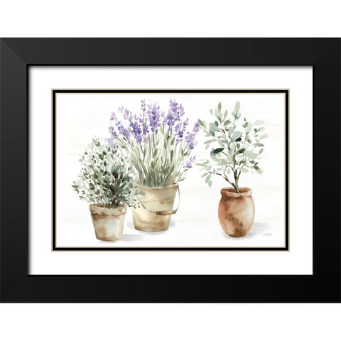 Farmhouse Still Life Black Modern Wood Framed Art Print with Double Matting by Pete, Katrina
