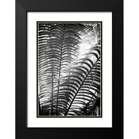 Sunlit Palms II Black Modern Wood Framed Art Print with Double Matting by Van Swearingen, Debra