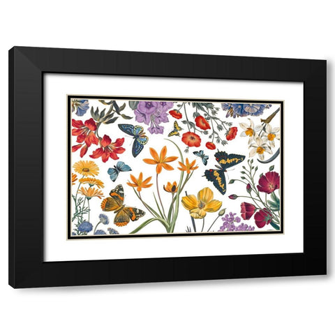Butterfly Garden VI Black Modern Wood Framed Art Print with Double Matting by Portfolio, Wild Apple