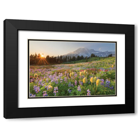Paradise Wildflower Meadows I Black Modern Wood Framed Art Print with Double Matting by Majchrowicz, Alan