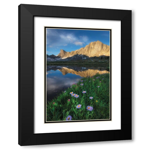 Pronghorn and Dragon Head Peaks Black Modern Wood Framed Art Print with Double Matting by Majchrowicz, Alan