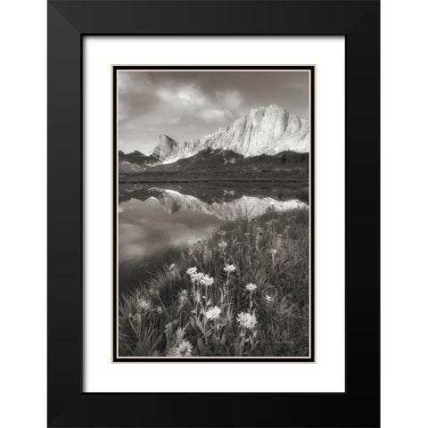Pronghorn and Dragon Head Peaks BW Black Modern Wood Framed Art Print with Double Matting by Majchrowicz, Alan