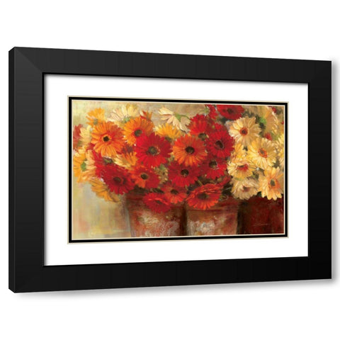 Chelsea Gerberas - Wag Black Modern Wood Framed Art Print with Double Matting by Rowan, Carol