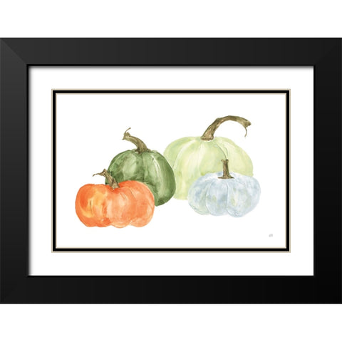 Pumpkin Menagerie II Black Modern Wood Framed Art Print with Double Matting by Paschke, Chris