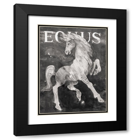 Equus Stallion BW Black Modern Wood Framed Art Print with Double Matting by Hristova, Albena