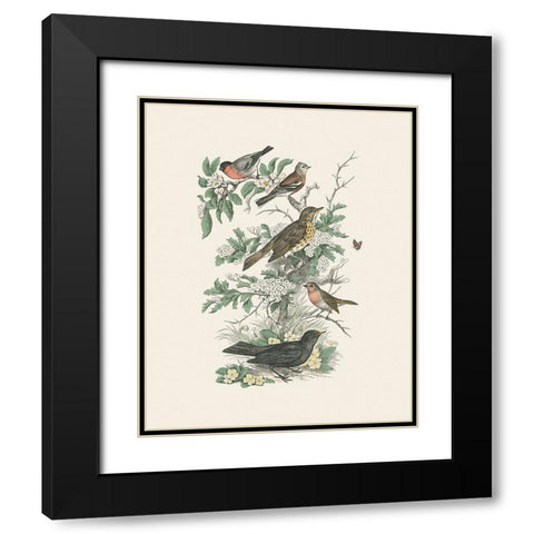 Honeybloom Bird I Black Modern Wood Framed Art Print with Double Matting by Wild Apple Portfolio