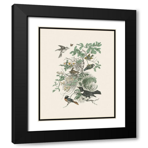 Honeybloom Bird II Black Modern Wood Framed Art Print with Double Matting by Wild Apple Portfolio