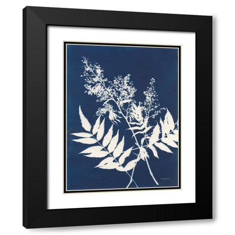 Alpine Flower III Black Modern Wood Framed Art Print with Double Matting by Ferguson, Kathy